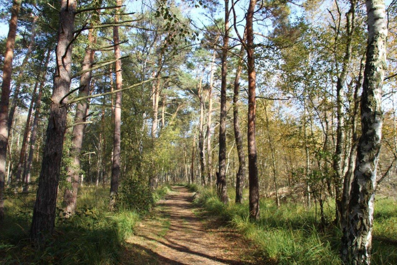 Ferienwohnung Fledermaus Gelbensande Екстер'єр фото